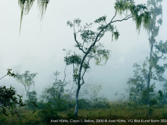 AXEL HÜTTE. STILLE WEITEN