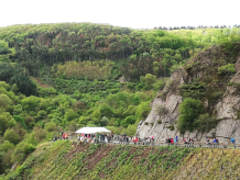 Mittelrheinischer Weinfrühling