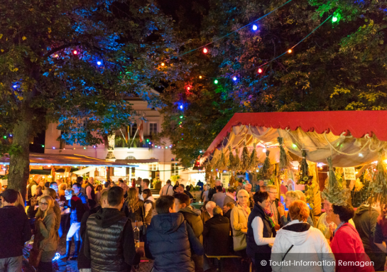 75th Wine festival in Remagen