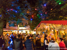 75th Wine festival in Remagen
