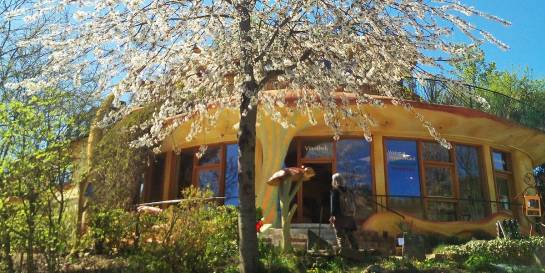 VINOTHEK & WEINVERKAUF