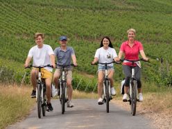 RHEINGAU RIESLING RAD